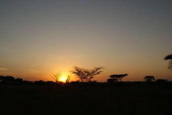 Robanda Tented Camp Kültér fotó