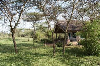 Robanda Tented Camp Kültér fotó